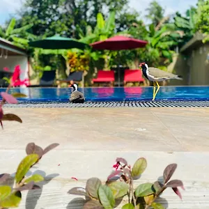 Resort The Kingslayer