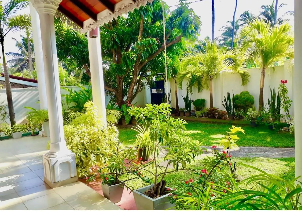 Ama Villa Negombo Sri Lanka