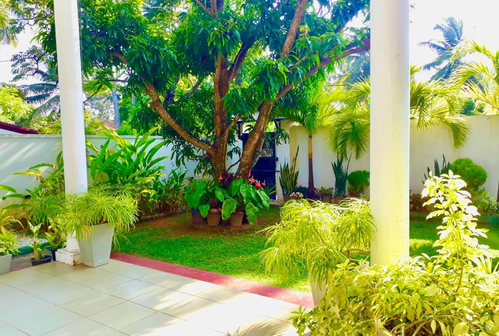 Ama Villa Negombo