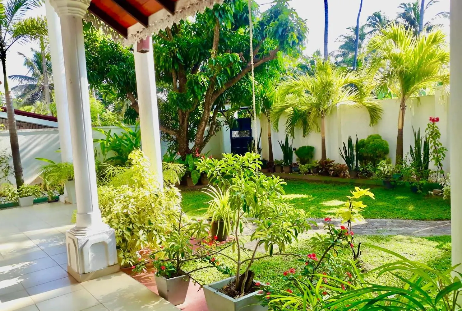 Ama Villa Negombo Sri Lanka